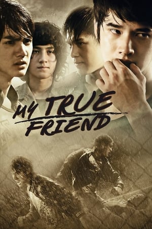 Friends Never Die (2012) Hindi dual Audio 340MB HD Poster Download - filmyfly