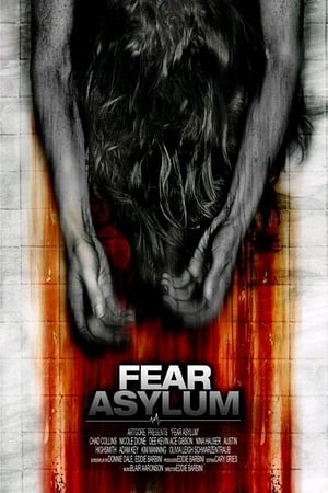 Room 33 (2009) Hindi Dual Audio [770MB] HD Poster Download - filmyfly